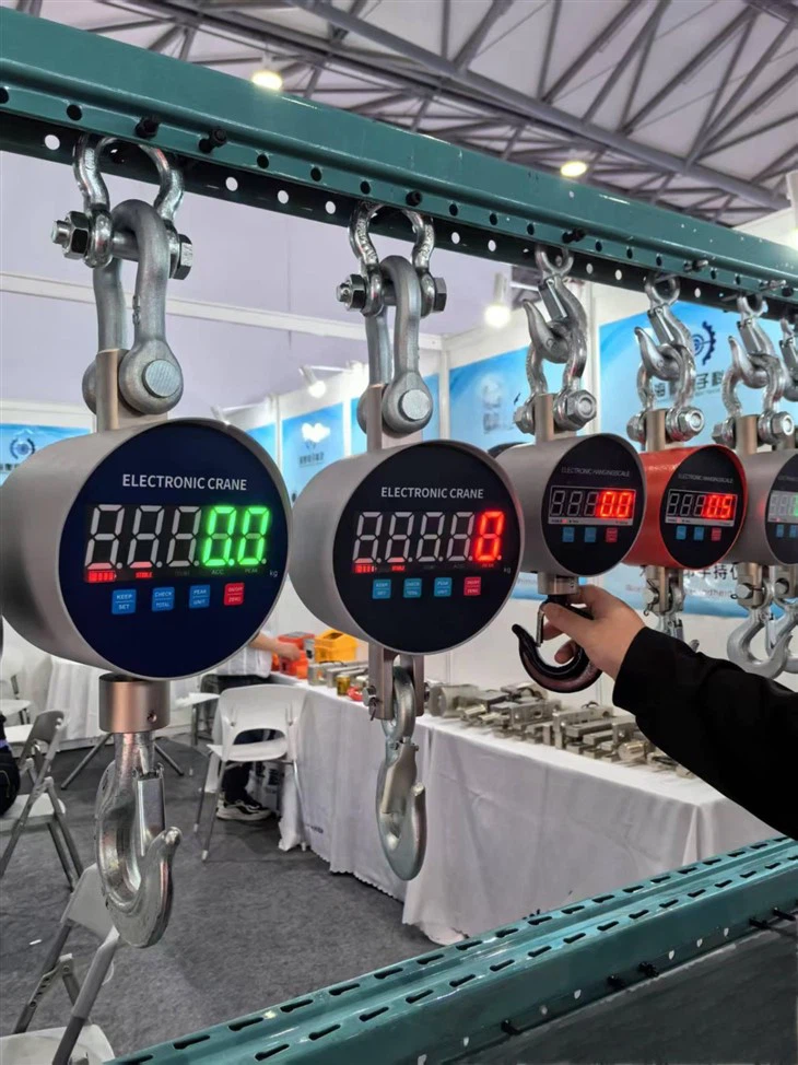 electronic CRANE SCALES-1